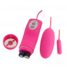 Виброяичко 10 Function Dual Bullets Pink 35014pinkHW