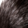 Анальная втулка с хвостом чернобурой лисы POPO Pleasure by TOYFA, S, силикон, черная, 45 см, Ø 2,7 см