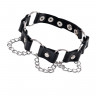 Ошейник Штучки-Дрючки с кольцами и цепочкой, кожа, черный
