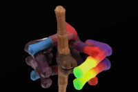 Брелок &quot;Мустанг&quot; в ассортименте zoo45