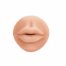 Мастурбатор Satisfaction Sweet Lips 2105-01lola