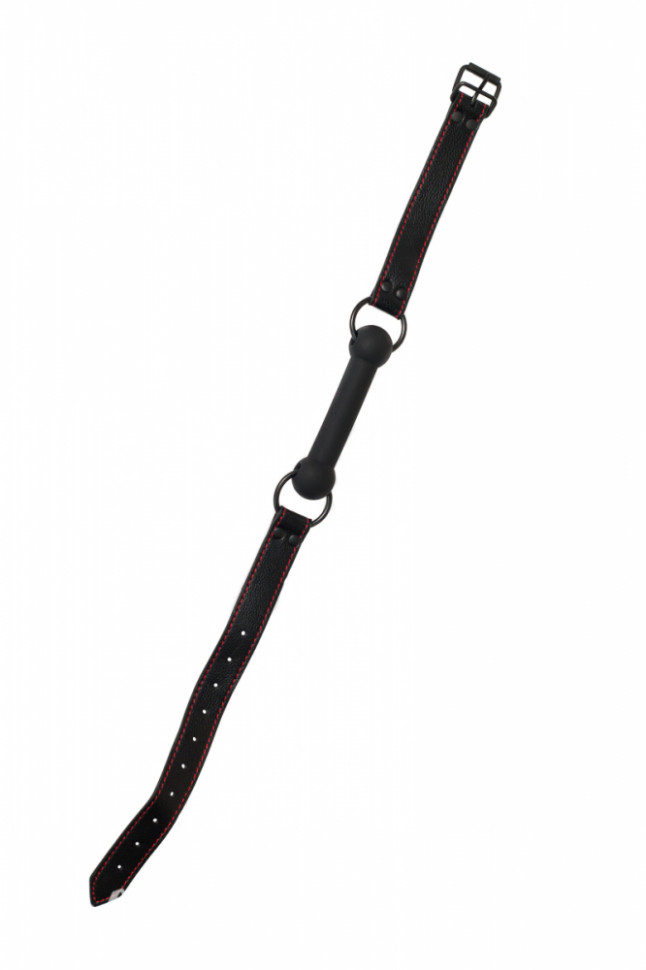 Кляп Party Hard Infatuation 1151-01lola