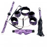 Кружевной наборTOYFA Marcus (маска, наручники, оковы, ошейник, флоггер, кляп), пурпурный