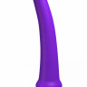 Анальный стимулятор Rapier Plug purple 511532lola