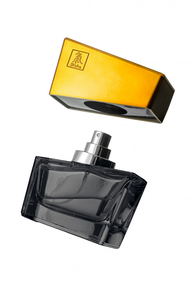 Духи с феромонами HOT Shiatsu «Gray»,мужские,50 мл