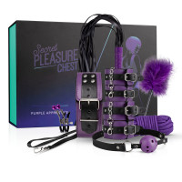 Набор Для Бондажа Secret Pleasure Chest Dark Apprentice LBX403