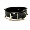 Ошейник с бантиком из эко-кожи черный 50009ars