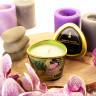 Массажное аромамасло Shunga Zenitude с ароматом зелёного чая, 170 мл