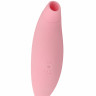 Вакуумный Вибромассажер Birdy Cutie CN-594335286